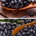 批发芽豆黑豆小扁黑/珍珠粒黑豆生豆芽豆苗做酱菜
