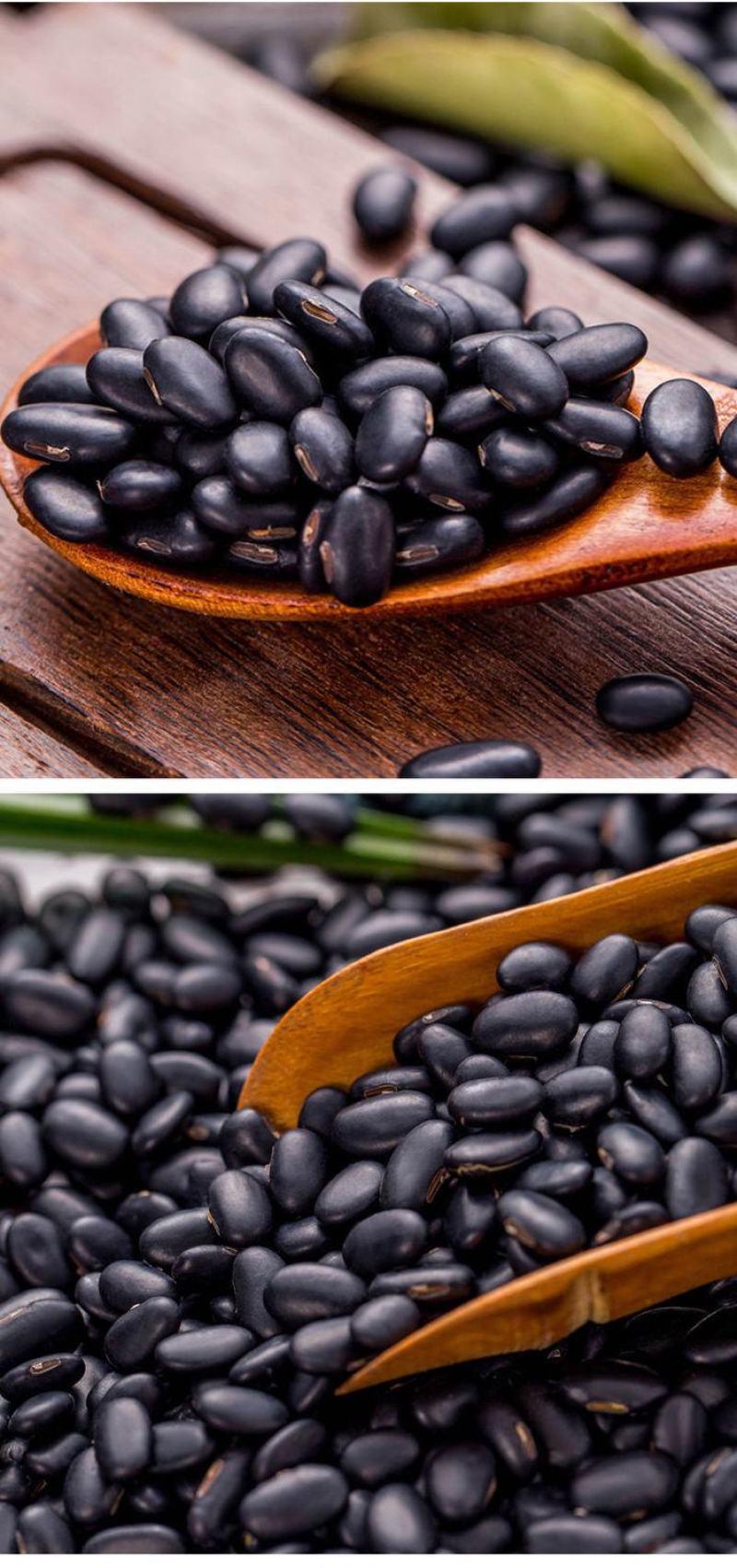 批发芽豆黑豆小扁黑/珍珠粒黑豆生豆芽豆苗做酱菜