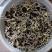 批发芽豆黑豆小扁黑/珍珠粒黑豆生豆芽豆苗做酱菜