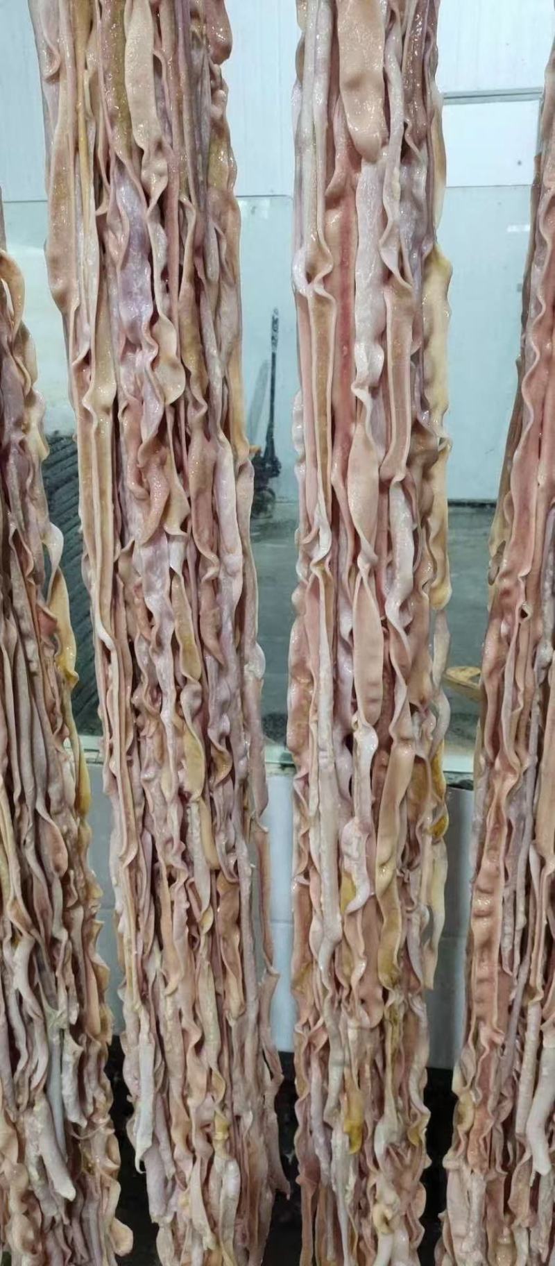 精品鹅肠，品质不错，一根2米多，品质不错，精修去油