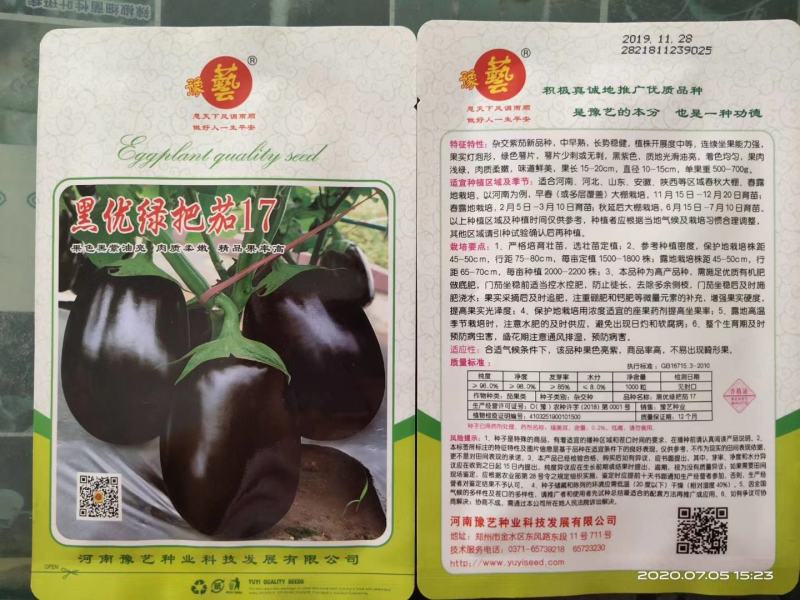 杂交黑紫色坐果能力强灯泡形萼片少剌囗感好单果700克中早