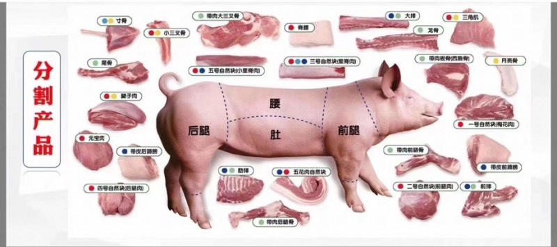 母猪二扒肉精选优质产品冷链运输实拍图片支持样品