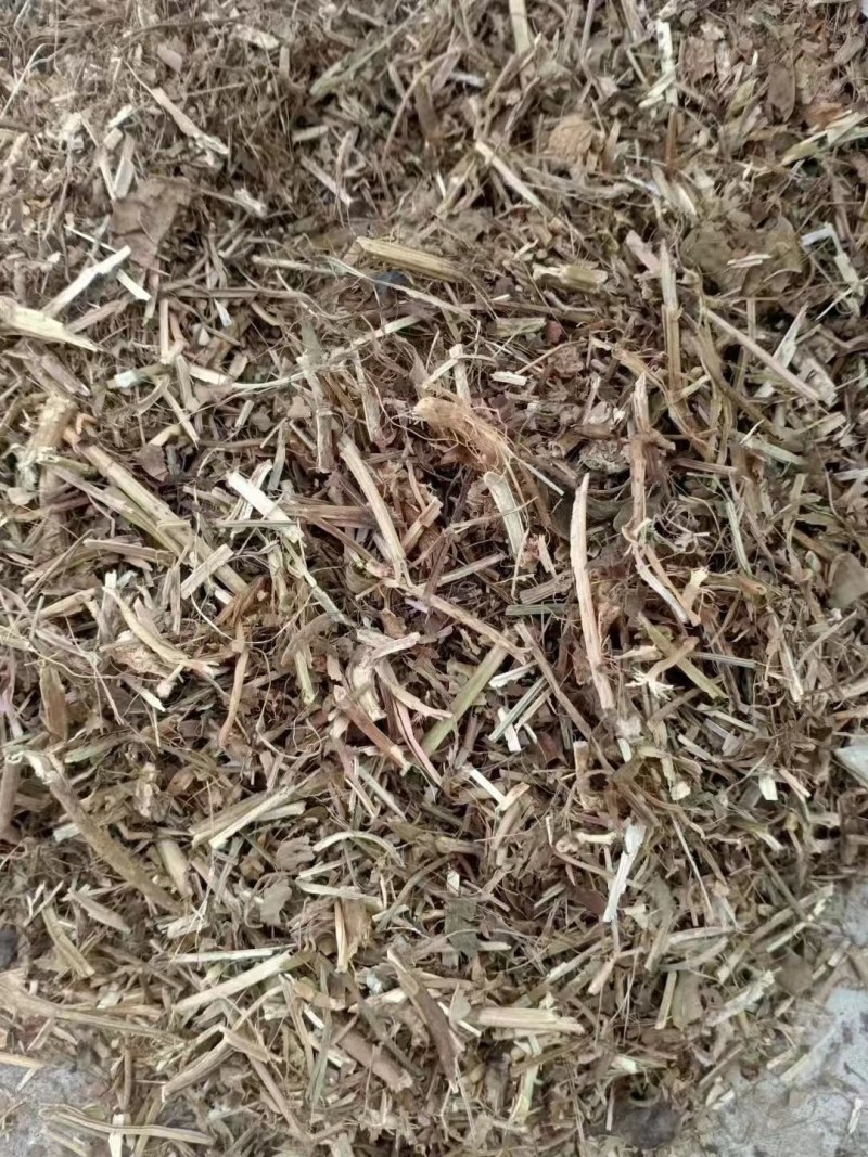 优质花生秧无沙土无霉变营养物质丰富粗蛋白质含量高量大从优