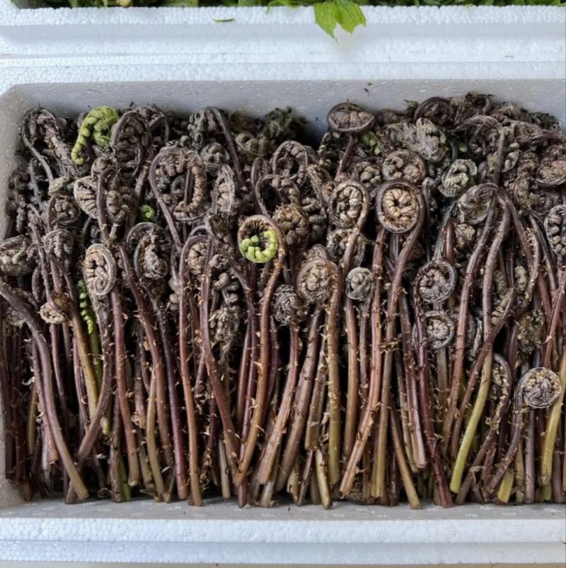 野菜猴腿，现采现发