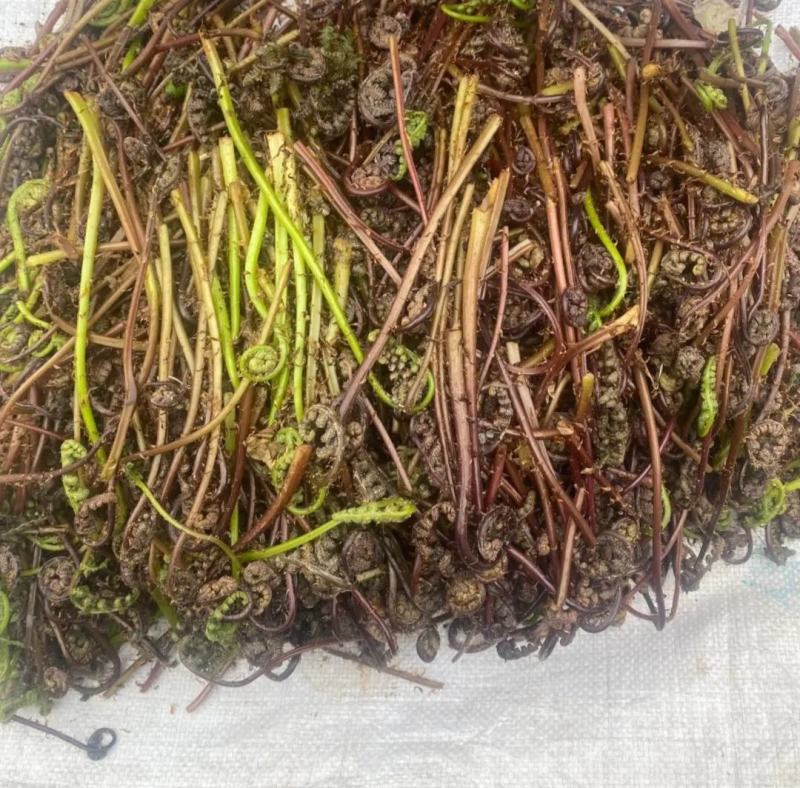 野菜猴腿，现采现发