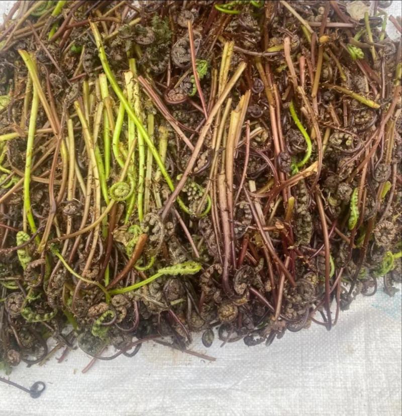 野菜猴腿，现采现发