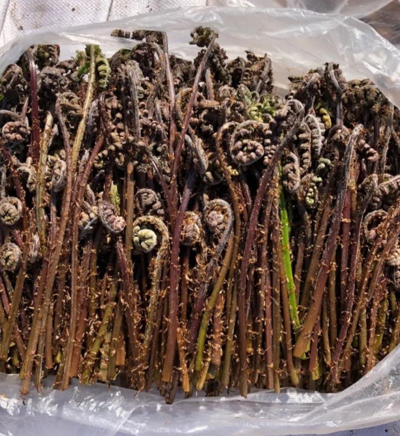 野菜猴腿，现采现发