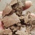 【精选】薄片花生饼，味道喷香，养殖育肥神器，可做有机肥
