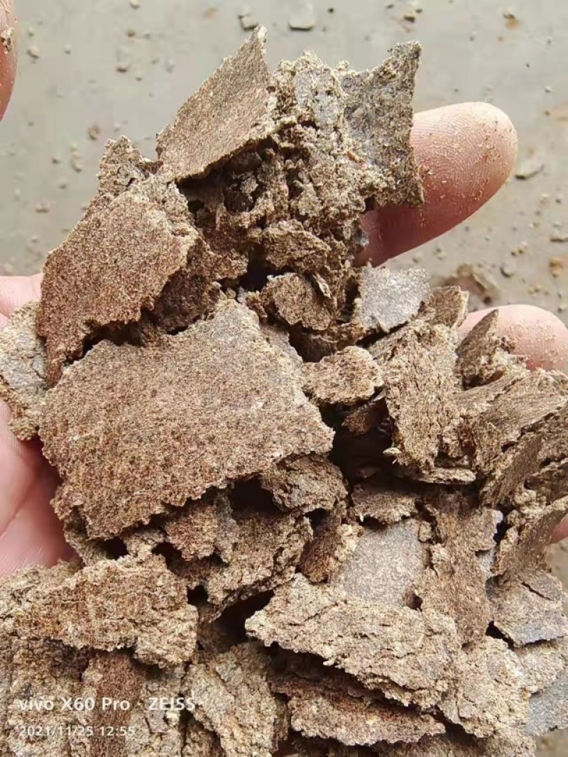 【精选】薄片花生饼，味道喷香，养殖育肥神器，可做有机肥