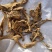 柴干姜统货低等货两种规格供应批发诚信经营量大可联系亲