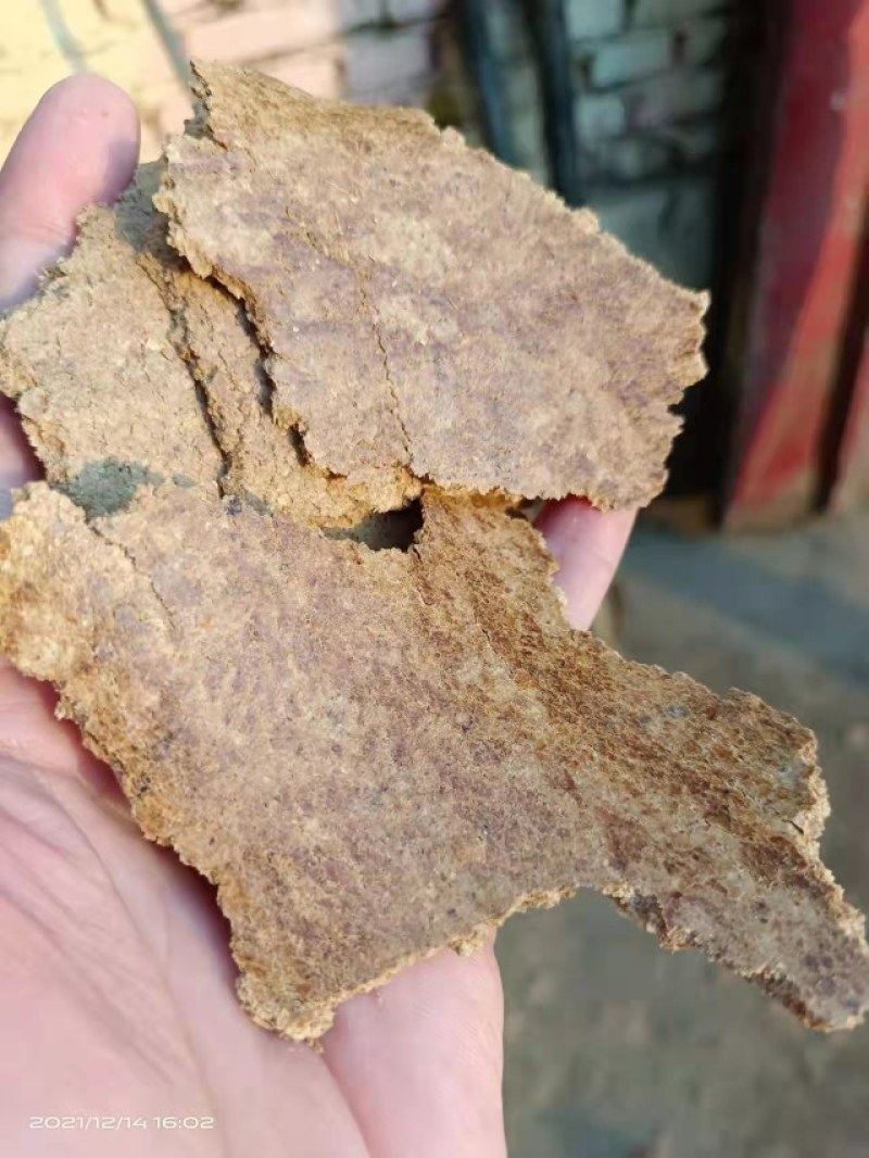 优质南瓜饼蛋白12个左右脂肪6灰分5厂家一手货源欢迎来电