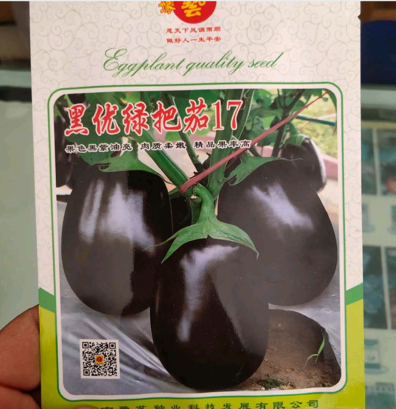 比亚久7152F1绿萼片黑长茄子种子杂交一代黑长茄早熟