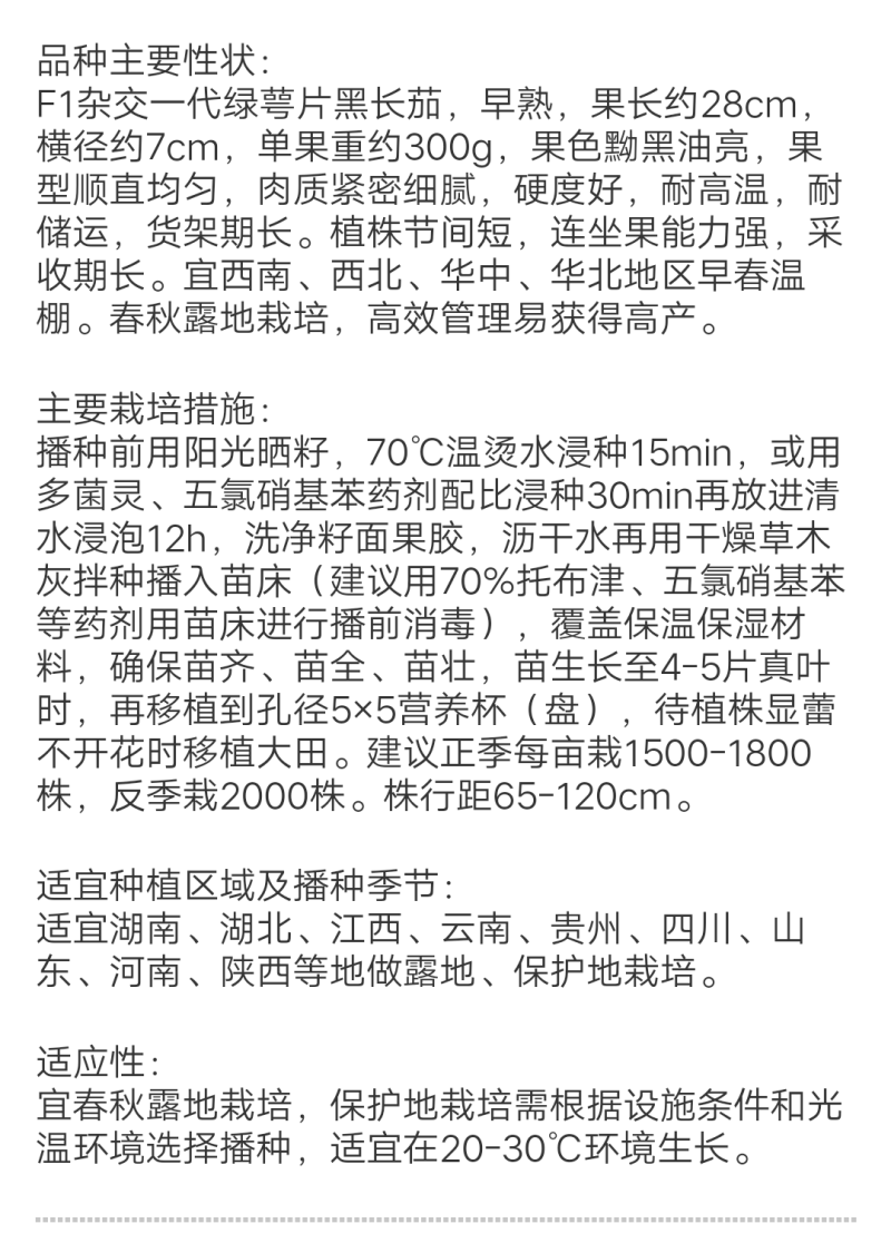 比亚久7152F1绿萼片黑长茄子种子杂交一代黑长茄早熟