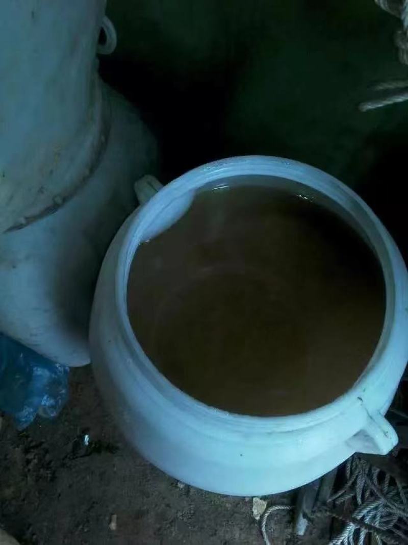 正在看蜂格