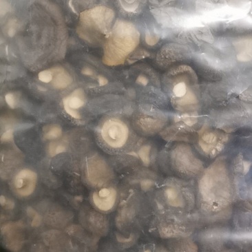 香菇，干香菇