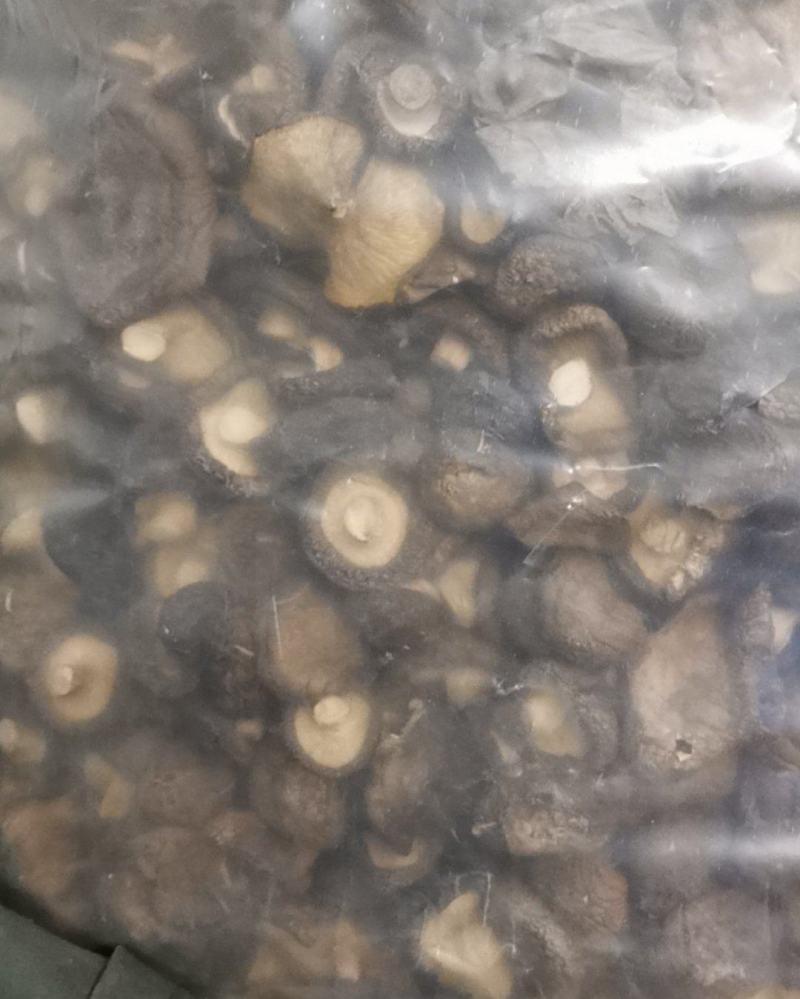 香菇，干香菇
