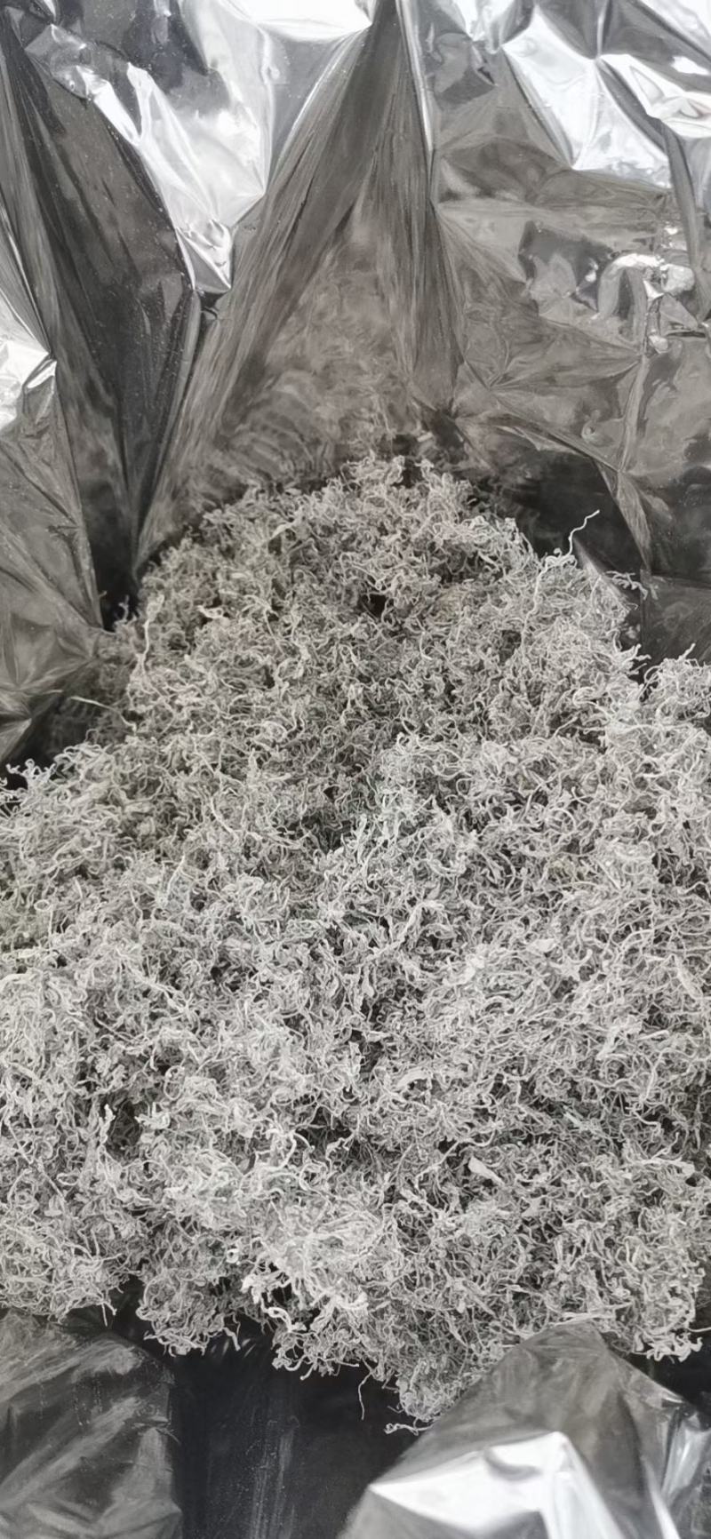 张家界莓茶藤茶芽尖龙须
