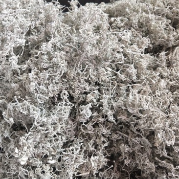 张家界莓茶藤茶芽尖龙须