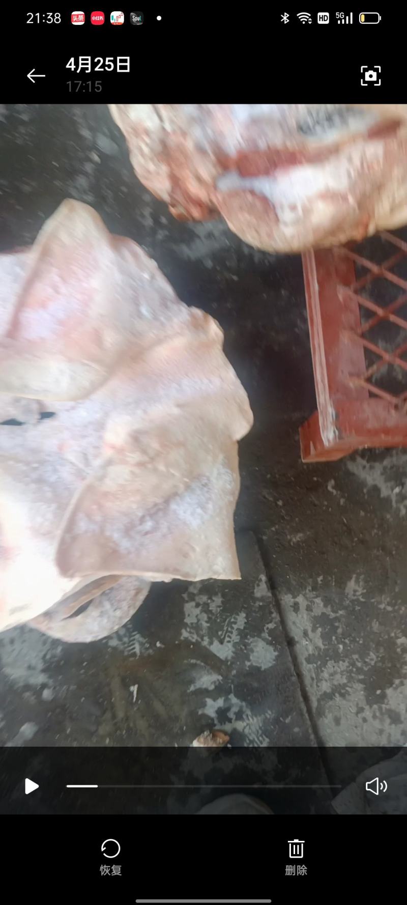 母猪头，肥肠，