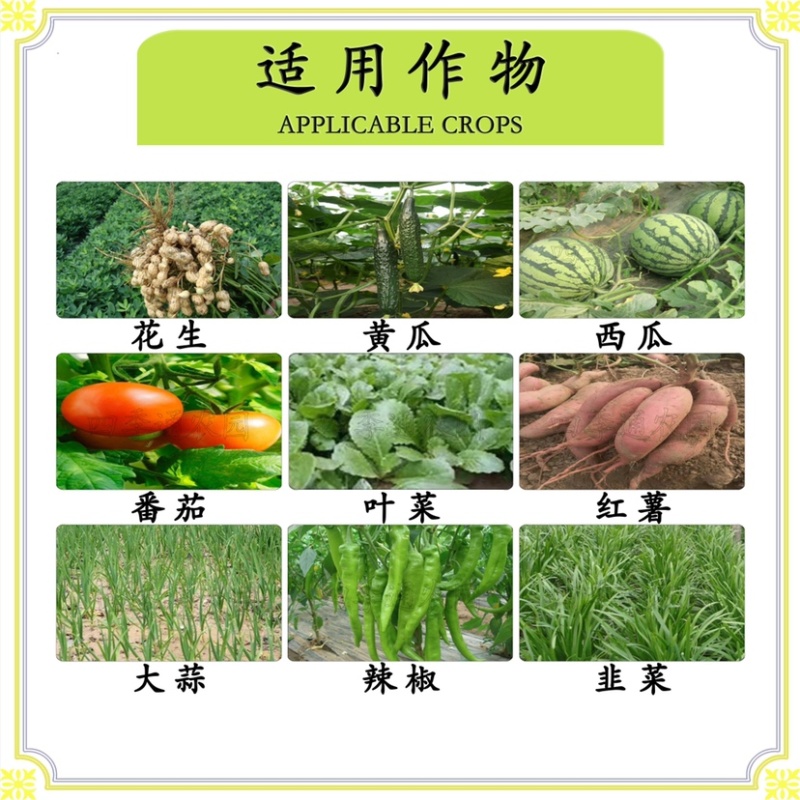 德国拜耳银法利黄瓜番茄霜霉病早晚疫病茎腐病农药杀菌剂