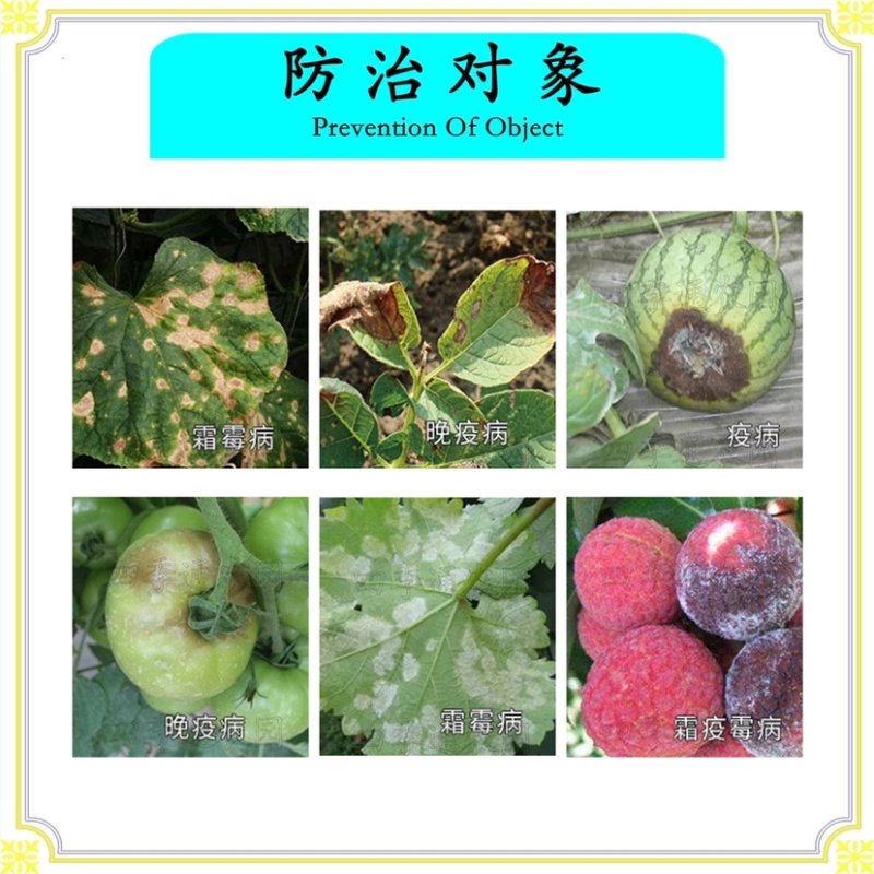 德国拜耳银法利黄瓜番茄霜霉病早晚疫病茎腐病农药杀菌剂