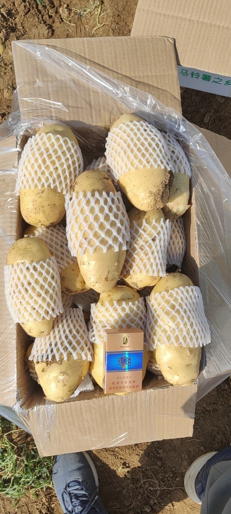 亮眼货，南北市场通吃，出口，超市，市场，精品供应