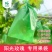 【厂家直供】葡萄套袋纯木浆全纸袋高抗水防虫防雨防日灼