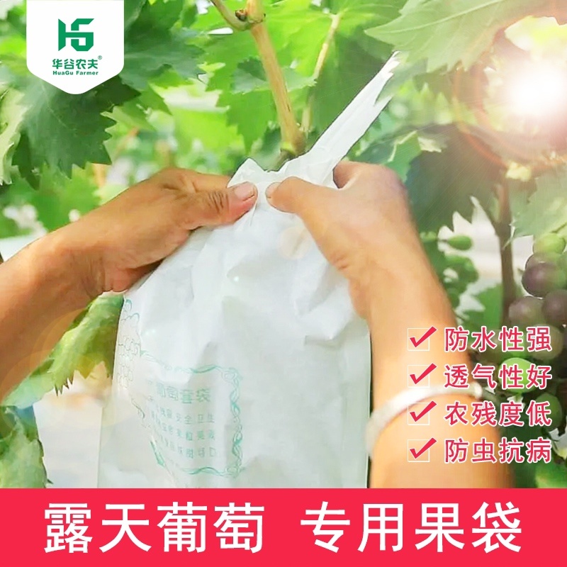【厂家直供】葡萄套袋纯木浆全纸袋高抗水防虫防雨防日灼