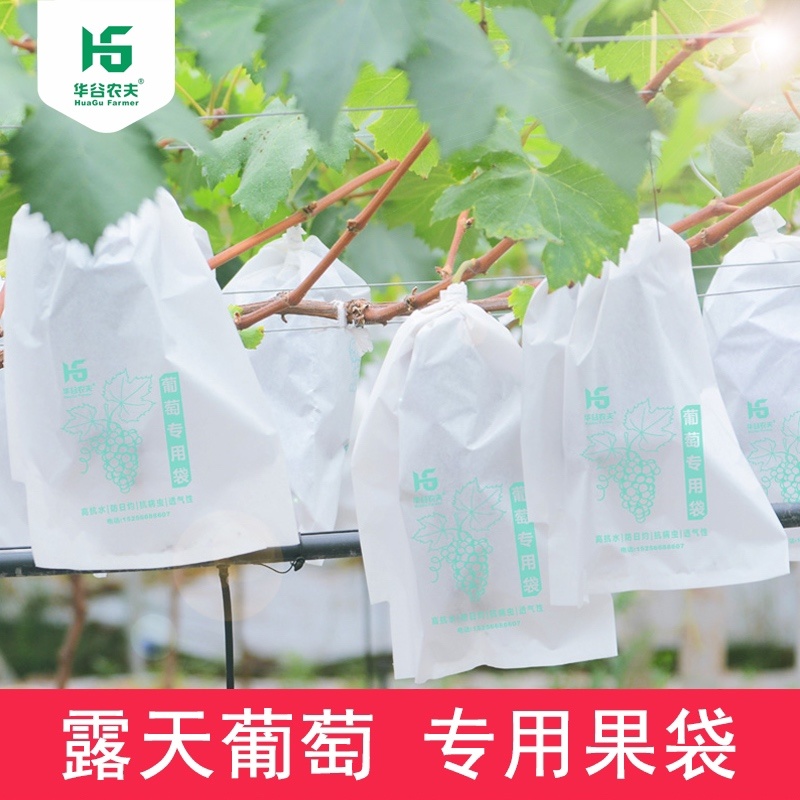 【厂家直供】葡萄套袋纯木浆全纸袋高抗水防虫防雨防日灼