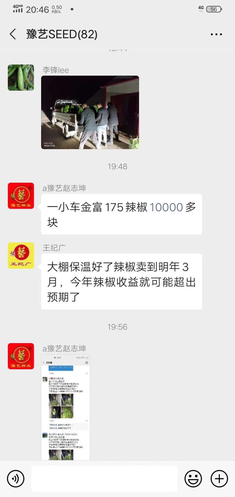 金富175大果黄绿皮单果重160克膨果速度快连续坐强抗病