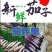 安顺产地供应烧烤茄供应市场商超供社区平台