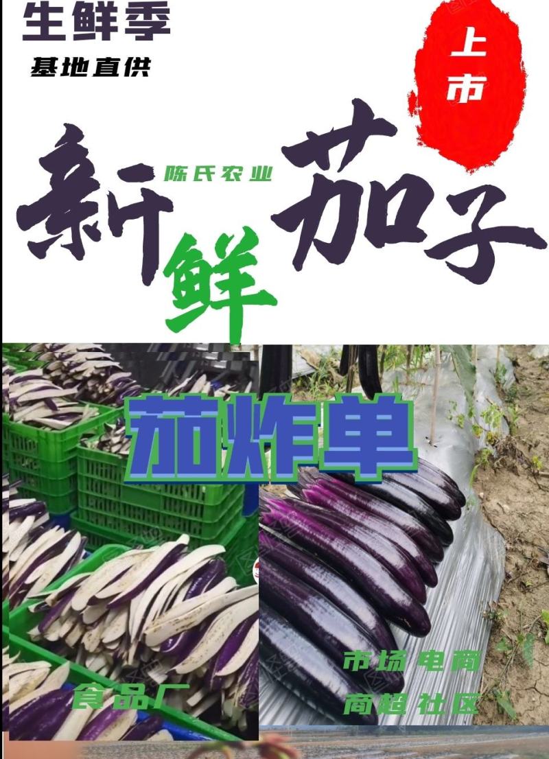 安顺产地供应烧烤茄供应市场商超供社区平台