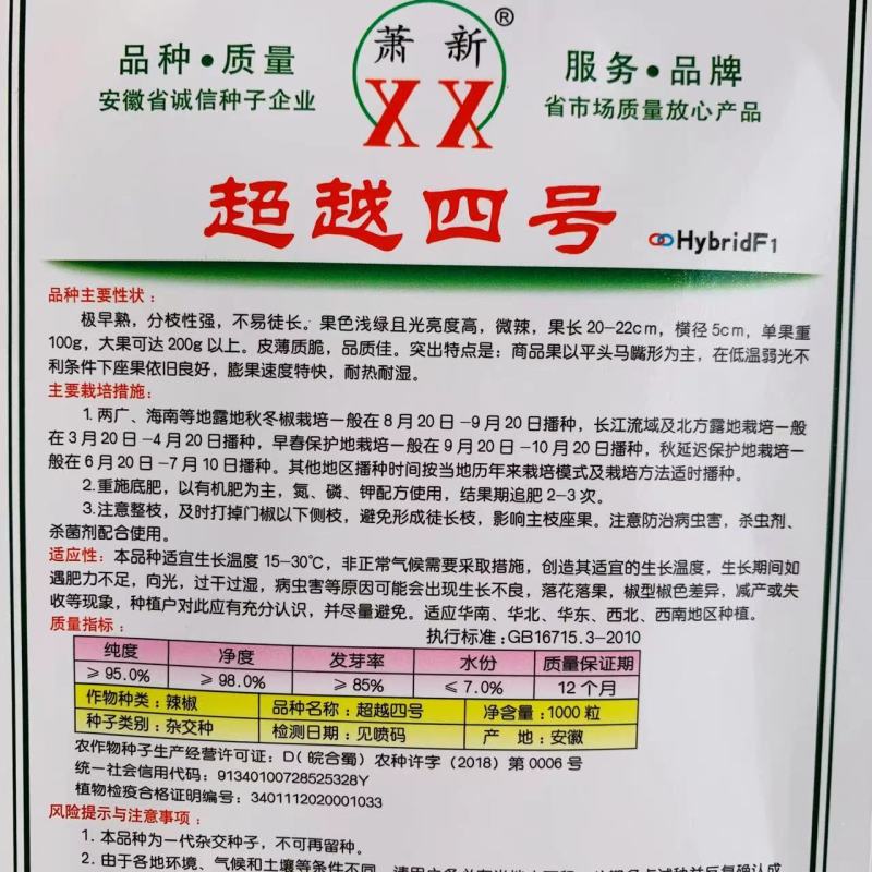 萧新超越四号平头马嘴形辣椒种子早熟耐热耐湿皮薄质脆