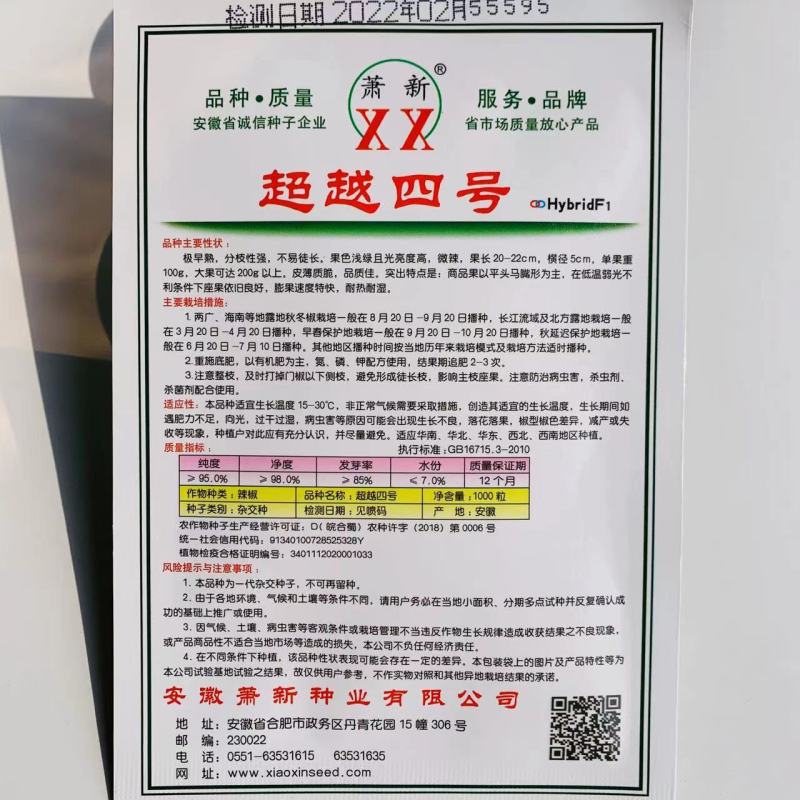 萧新超越四号平头马嘴形辣椒种子早熟耐热耐湿皮薄质脆
