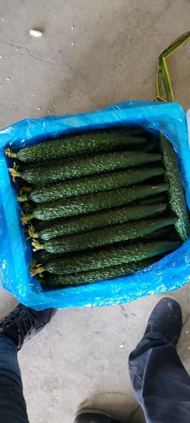 精品黄瓜