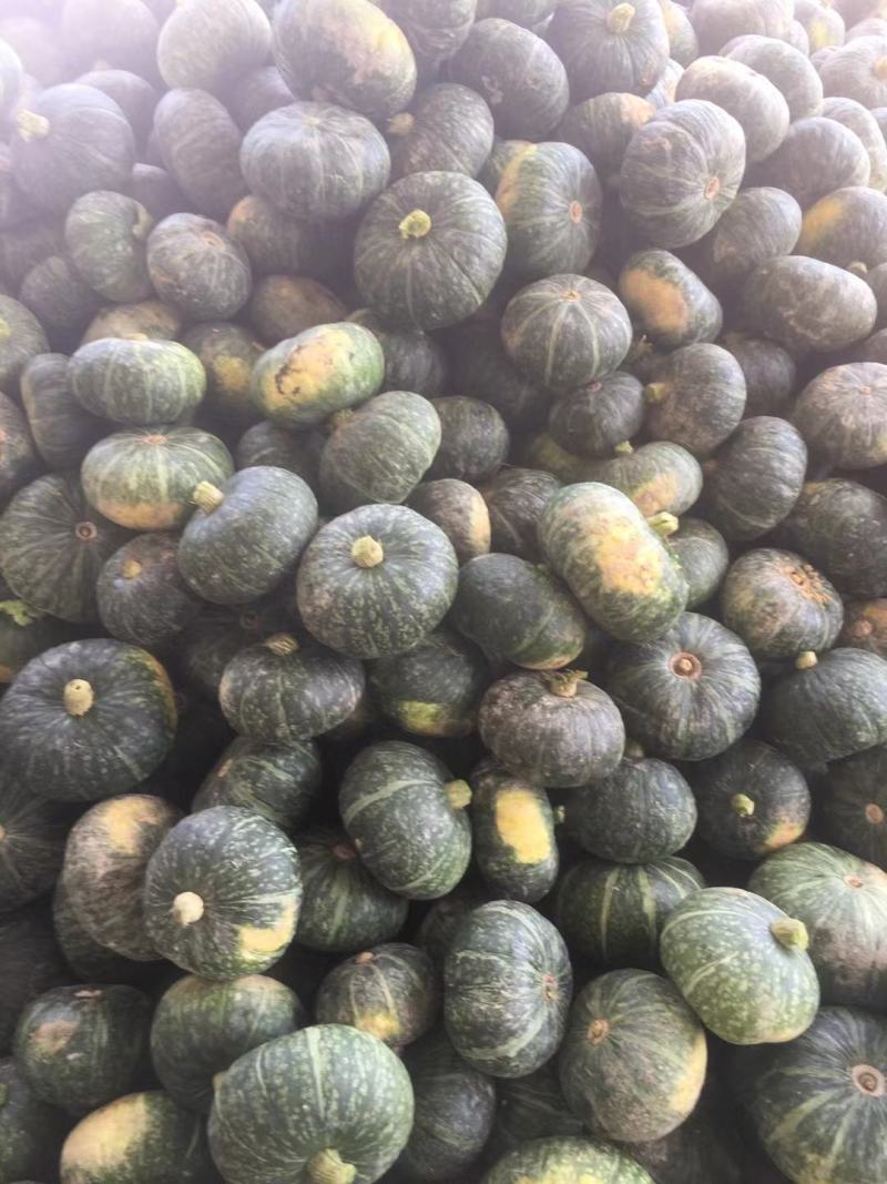 广西板栗南瓜大量上市，电商，超市，个大，大量供应！