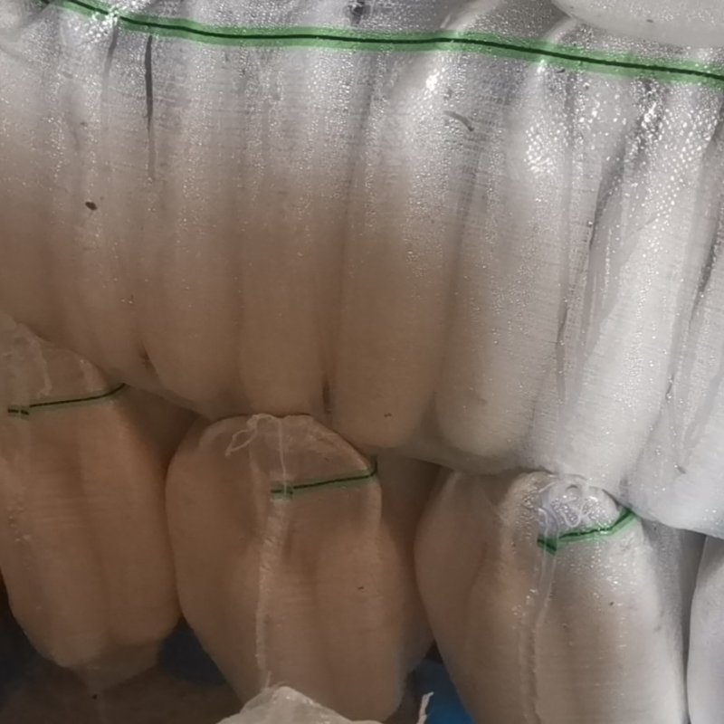 涞水县白萝卜