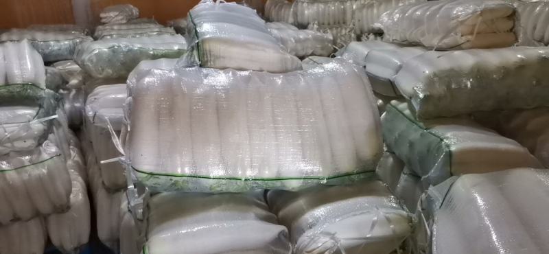 涞水县白萝卜
