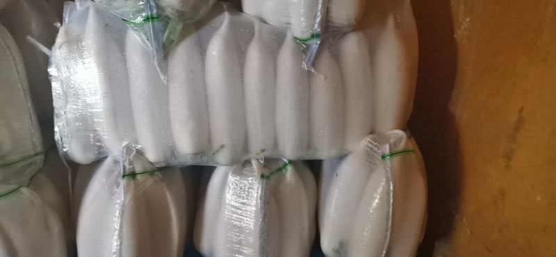 涞水县白萝卜