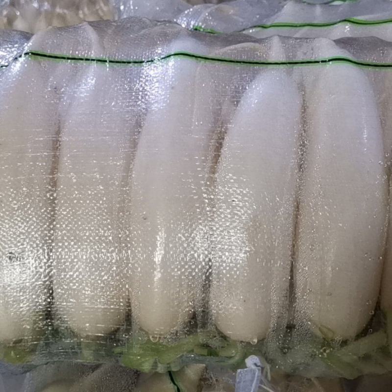 水洗精品白萝卜