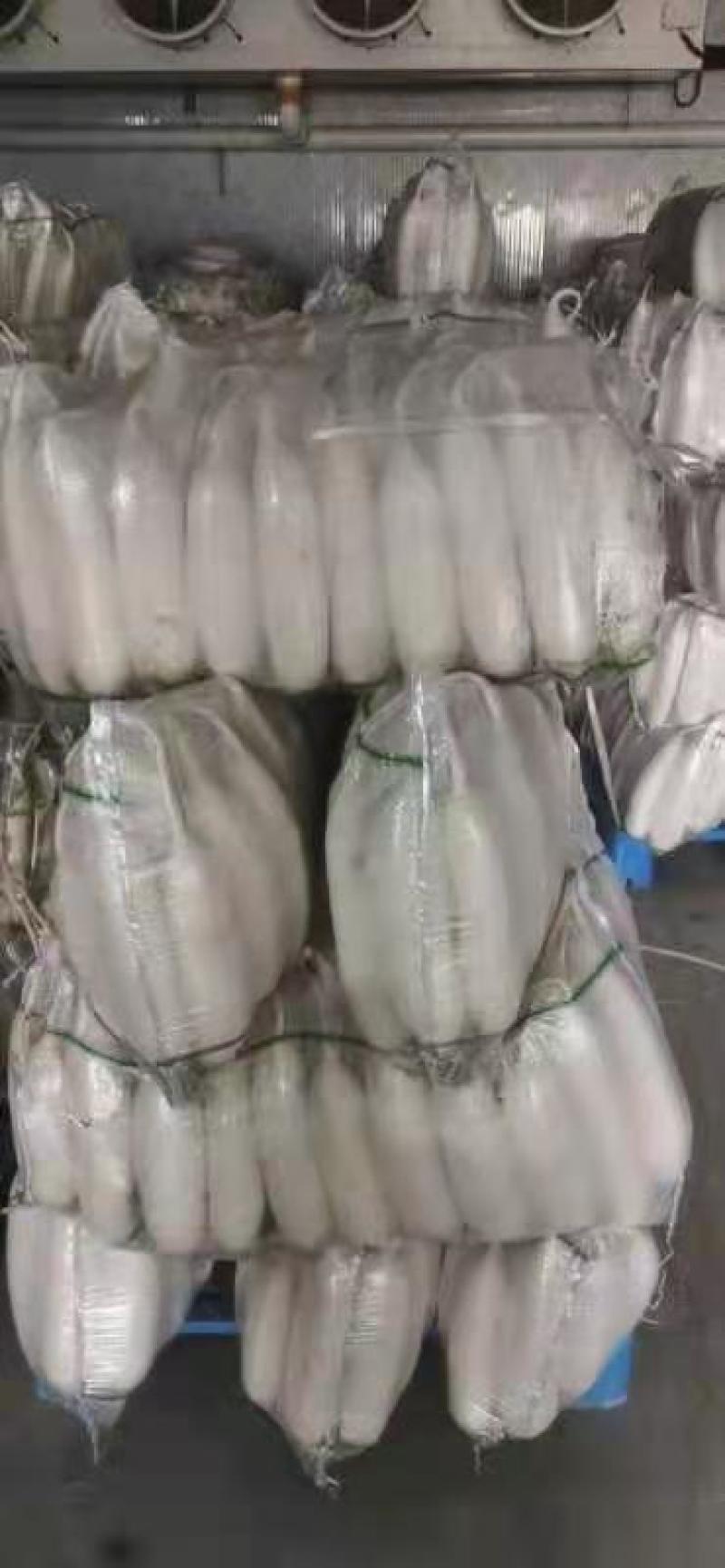 水洗精品白萝卜