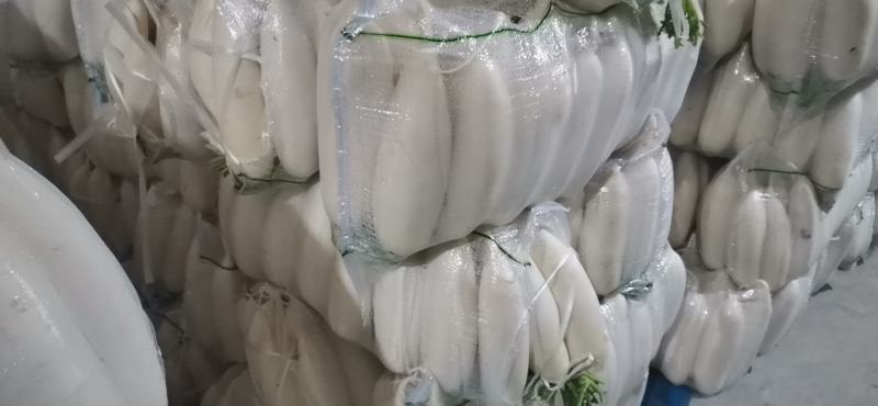 水洗精品白萝卜