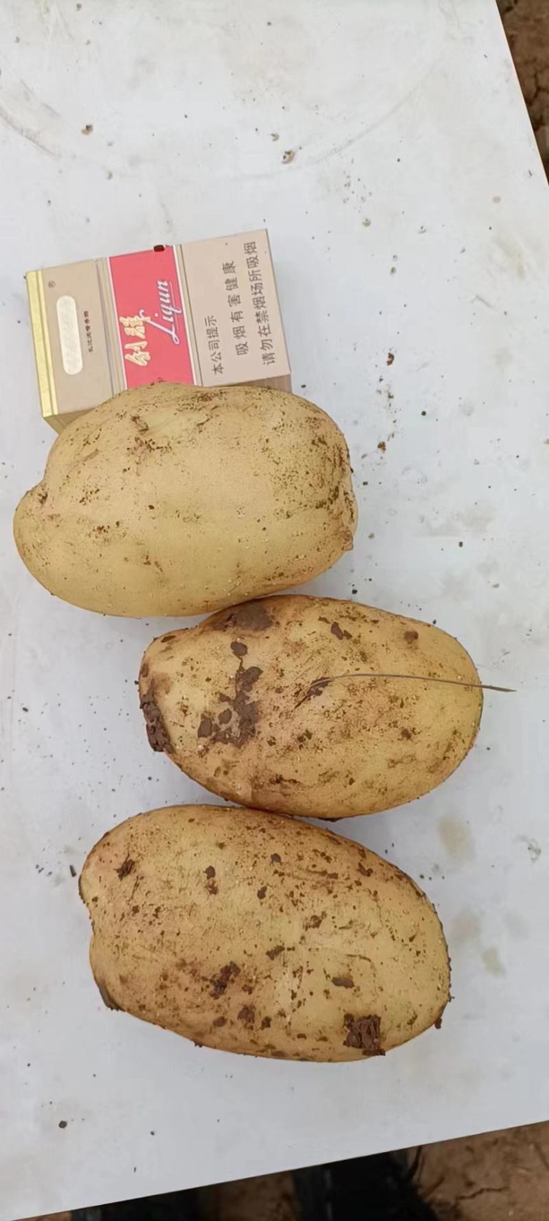 土豆，荷兰十五，敏薯1号，秦风5号，土豆大量上市中，，，