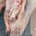 生牛蹄筋。带主筋生鲜货产地直发，货源充足，欢迎来电咨询