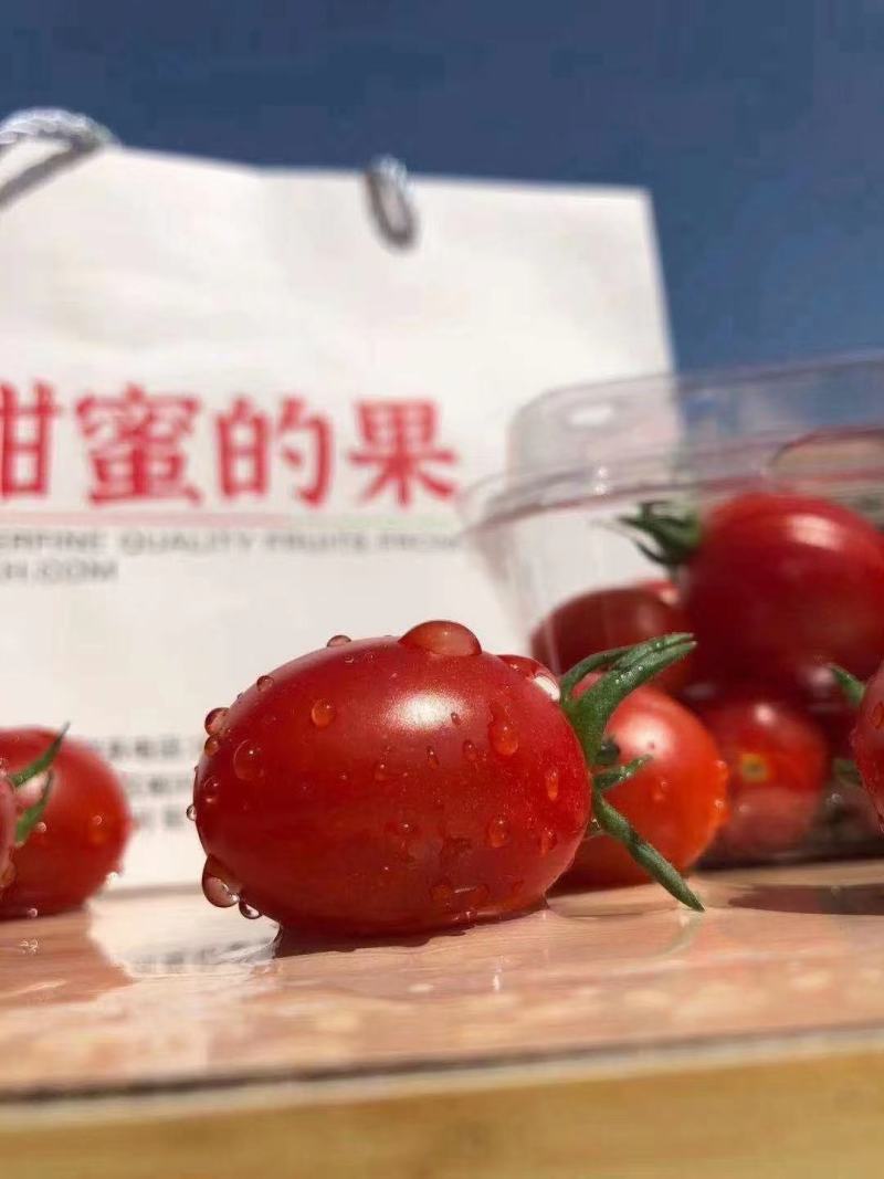 釜山88，甜蜜的果，鄠邑区农产品推荐会明星产品，88.8