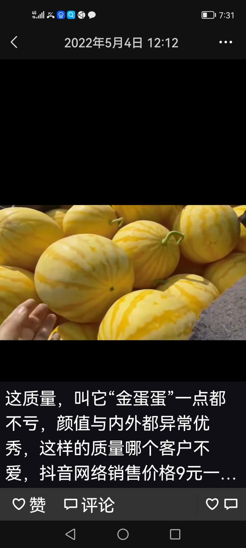 看这是我同兴村的礼品装箱子的瓜己经上市了，瓜长的好看还甜