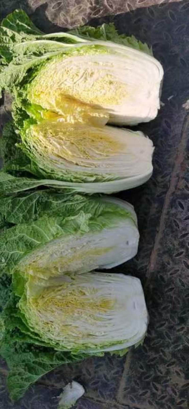 大白菜，货源充足，常年供货
