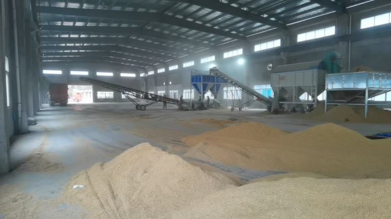湖南谷壳（除尘过筛酒厂专用）