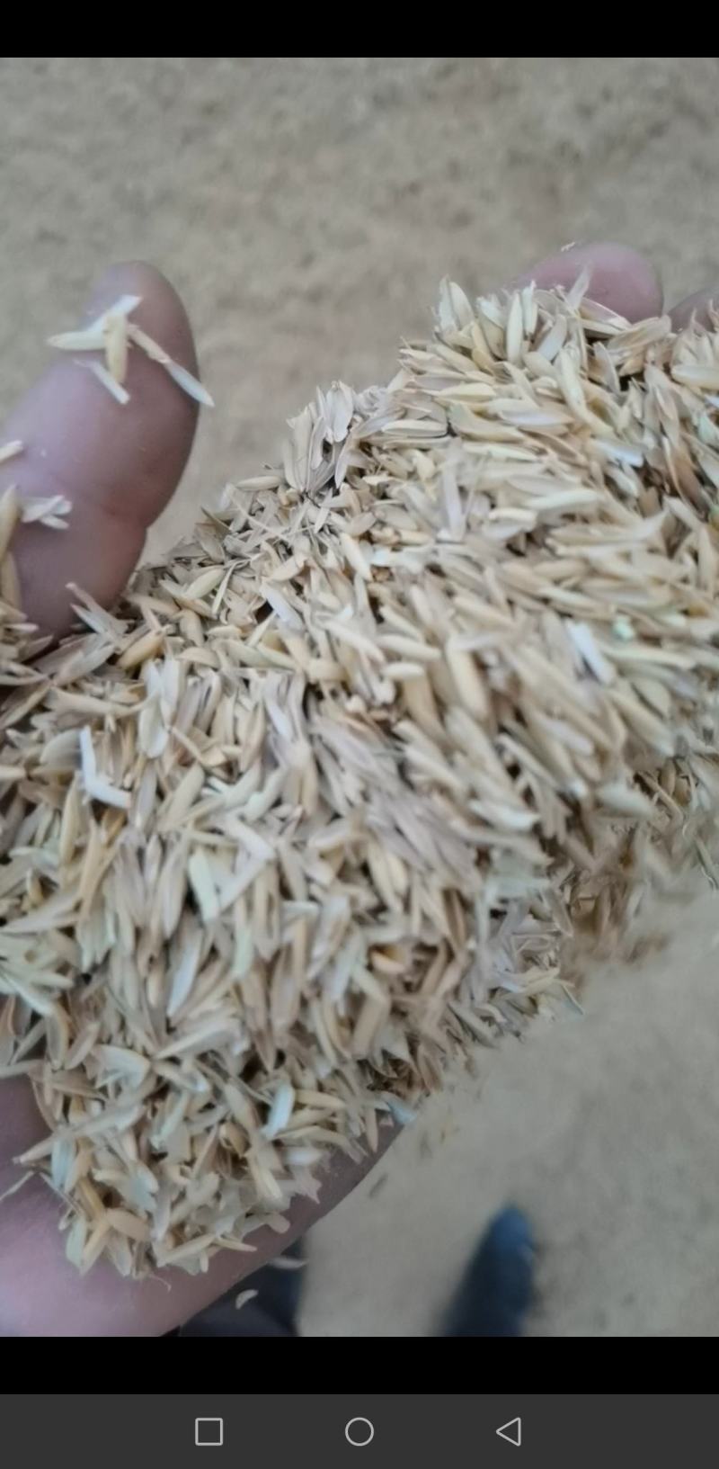 湖南谷壳（除尘过筛酒厂专用）