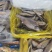 多种水产